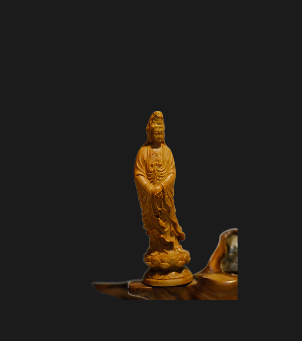 Shop Primary Image